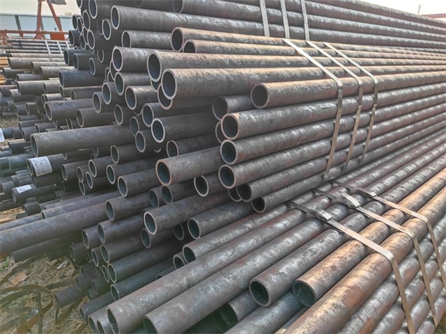 IMG_20230401_155227.jpg IMG_20230401_155227.jpg